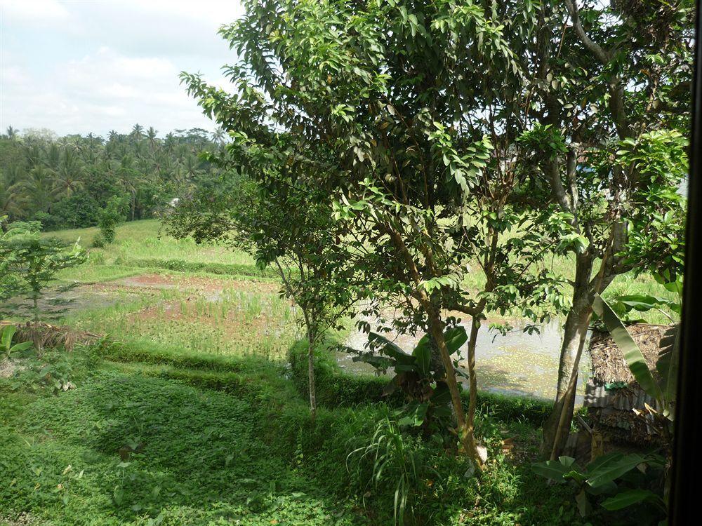 Kudos Guesthouse Ubud Luaran gambar